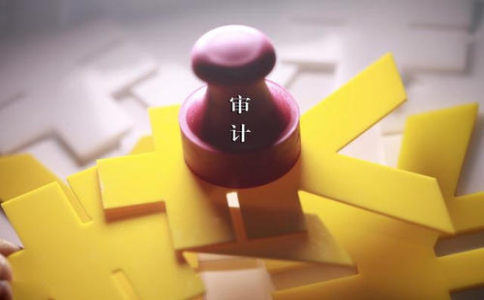 企业进行财务审计主要审什么？