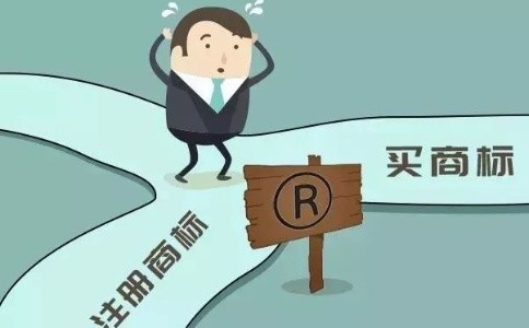 专项审计报告通常包含哪些内容？